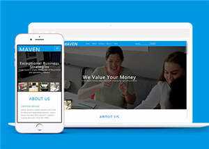 专业咨询服务展示HTML网页模板下载 - KingHub