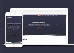 简约业务团队动态响应式网页模板 - KingHub