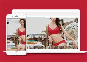 宽屏内衣服饰服装类网站前端模板 - KingHub