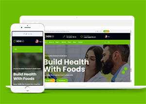 绿色有机食品农产品网站模板下载 - KingHub