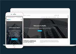 商务代理项目服务响应式网页模板 - KingHub