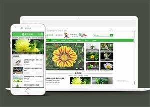 响应式花卉养殖资讯类前端模板 - KingHub