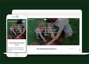 新鲜农产品类公司网站模板下载 - KingHub