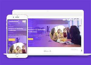 紫色精品商业合作网站模板源码 - KingHub