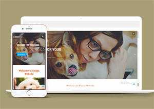 宠物美容服务公司网站模板源码 - KingHub