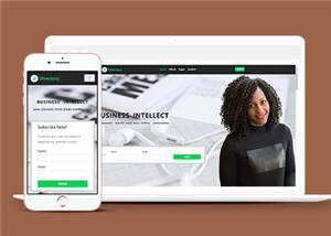 谈判团队展示网页源码模板下载 - KingHub