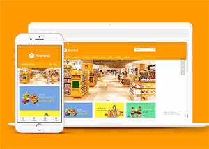 简洁食品百货英文外贸类网站模板 - KingHub