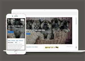 关于宠物狗销售网站模板下载 - KingHub