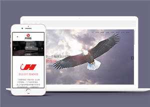 网络公司品牌推广公司网站前端模板下载 - KingHub