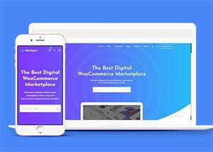 数字市场资源下载平台网站模板 - KingHub
