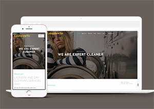 简洁服装洗涤清洗公司网站模板 - KingHub