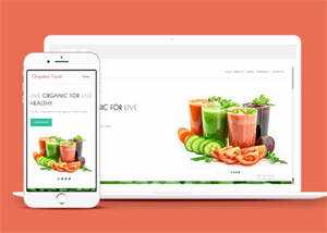 宽屏鲜榨果汁加盟店网站模板下载 - KingHub