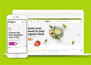 蔬菜水果商店网站响应式模板下载 - KingHub