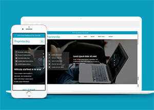 淘宝详情页制作响应式网站模板 - KingHub