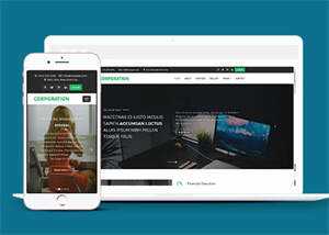 响应式财务管理公司网站模板 - KingHub