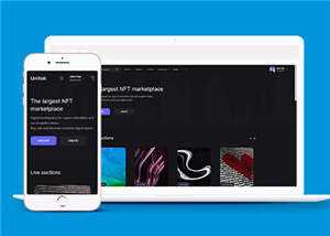 宽屏数字市场交易平台网站模板下载 - KingHub