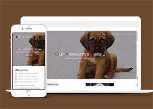 简洁宠物饲养单页HTML模板下载 - KingHub