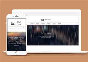 简约专业服务信息在线企业网页模板下载 - KingHub