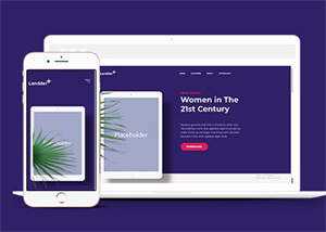 响应式电子书企业官网网站模板 - KingHub