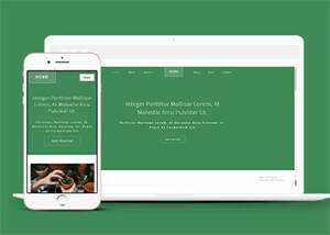 响应式多肉植物种植网站模板下载 - KingHub