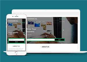 简洁商业贸易服务展示HTML网页模板下载 - KingHub