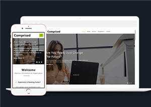 宽屏企业合作商务展示源码模板下载 - KingHub
