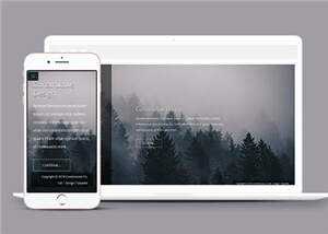 简洁公司产品动态单页面响应式网页模板下载 - KingHub