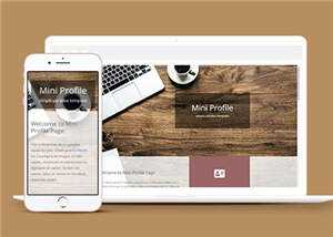 简洁项目简介展示响应式网页模板下载 - KingHub