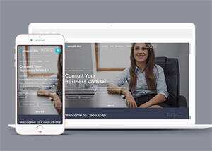 简洁专业投资顾问网站模板下载 - KingHub