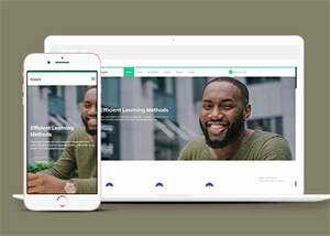 成人高等学校招生网站模板源码 - KingHub