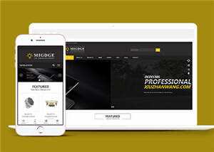 简洁响应式灯具公司前端模板下载 - KingHub