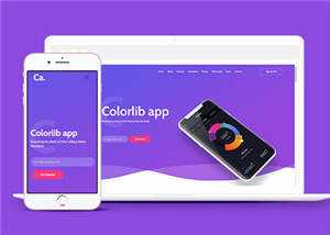 宽屏APP项目展示响应式网页模板下载 - KingHub