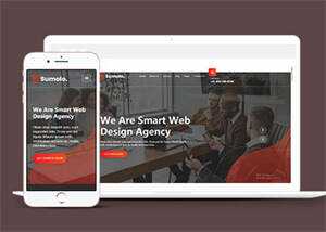 web软件应用开发公司网站模板 - KingHub