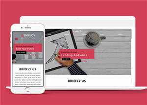 宽屏数据分析服务公司源码模板下载 - KingHub