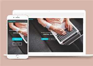 简洁数字团队服务展示响应式网页模板下载 - KingHub