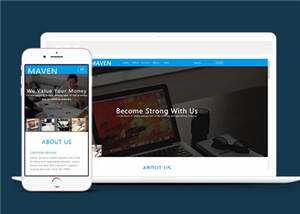 简洁企业咨询服务展示HTML网页模板下载 - KingHub