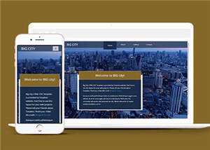 宽屏都市切换介绍响应式网页模板下载 - KingHub