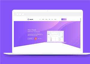 简约软件开发企业网站模板下载 - KingHub