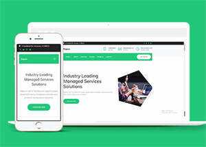 互联网增值服务公司网站模板下载 - KingHub