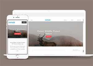 保护野生动物响应式网站模板下载 - KingHub