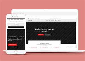 唯美休闲小清新网站模板下载 - KingHub