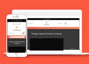 响应式橘红色企业公司网站模板 - KingHub