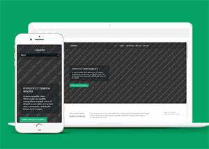 响应式野外游泳爱好者网站模板 - KingHub