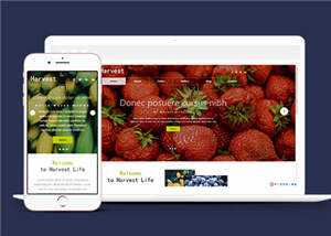 响应式果蔬大棚企业源码模板下载 - KingHub
