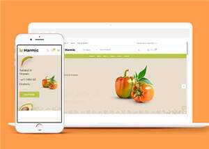简洁蔬菜水果超市电商网站模板源码下载 - KingHub