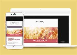 宽屏粉色个人博客主页网站模板 - KingHub