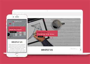 网站运营数据指标网站模板下载 - KingHub