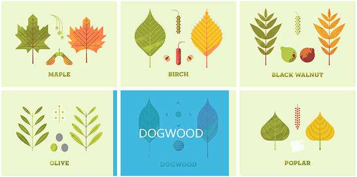 jQuery列表图片鼠标悬停感知方向遮罩层移动特效 - KingHub