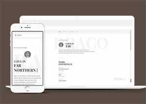 简洁程序员求职简历模板下载 - KingHub