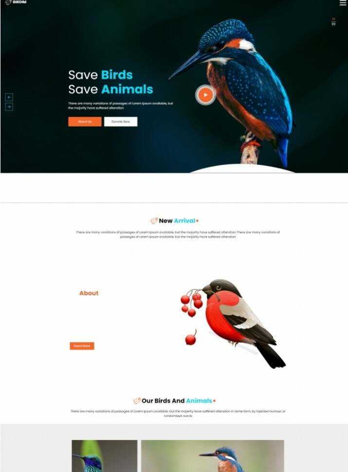 拯救鸟类拯救动物HTML5网站模板 - KingHub